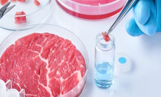 Лабораторный анализ пищевых продуктов по СанПиН в Переславле-Залесском в октябре