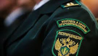 Подготовка к проверке Росприроднадзора в Переславле-Залесском от ПромМир-Прс, стоимость услуги от 20758 руб.